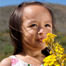 thumbnail of little girl smelling flowers