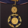 thumbnail of a medal of valor