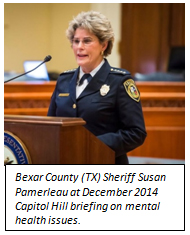 Bexar County (TX) Sheriff Susan Pamerleau at December 2014 Capitol Hill briefing on mental health issues.