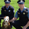 photo of two cops and a dog