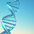 DNA Strand