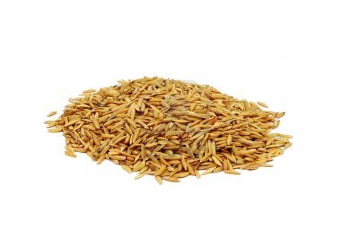 Dry rice - thumbnail