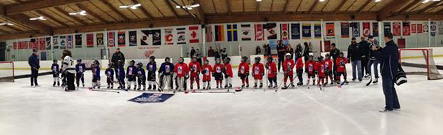 two children hockey teams