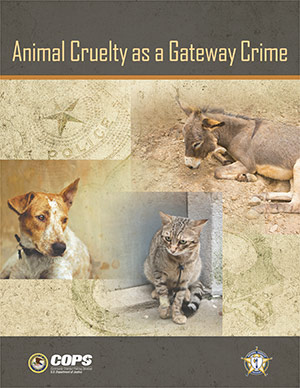 Animal Cruelty: A Serious Crime Leading to Horrific Outcomes
