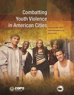 Combatting Youth Violence in American Cities: Programs and Partnerships in 30 Cities