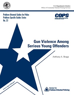 Gun Violence Among Serious Young Offenders