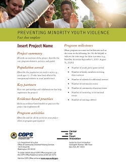 Preventing Minority Youth Violence: Fact Sheet Template